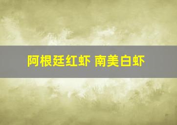 阿根廷红虾 南美白虾